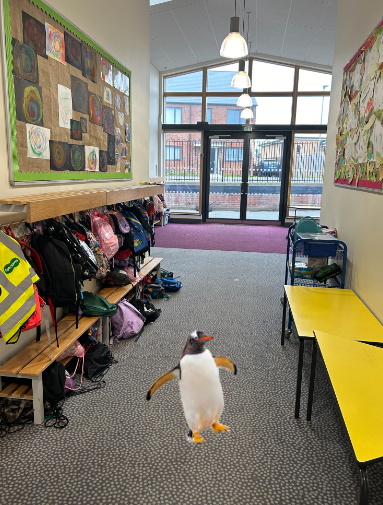 penguin cctv